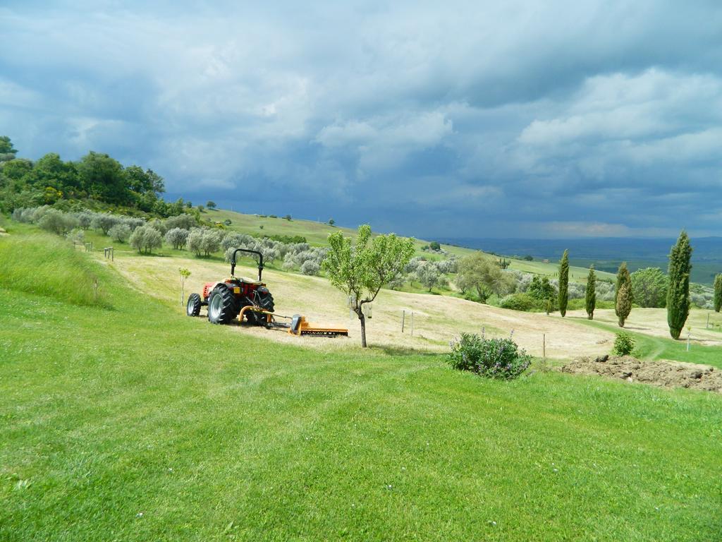 Villa Le Rogheta à Campiglia dʼOrcia Extérieur photo