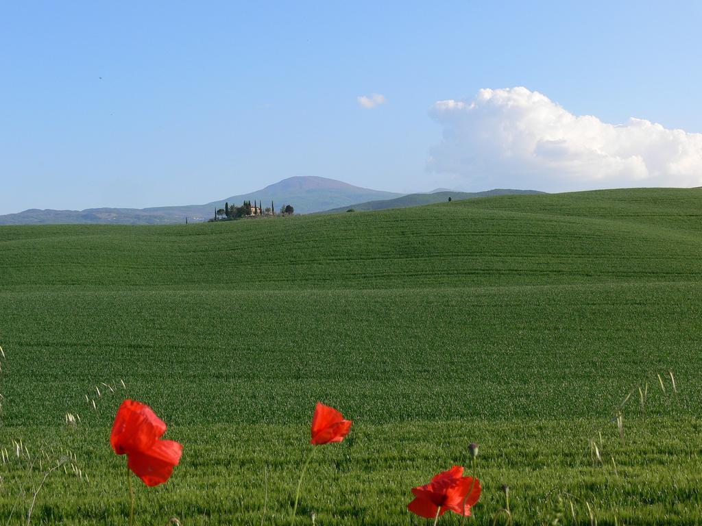Villa Le Rogheta à Campiglia dʼOrcia Extérieur photo